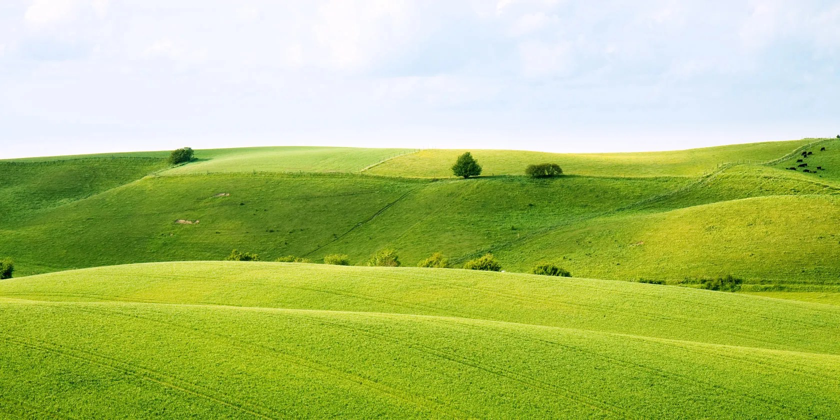 Get Inspired 10 Amazing Nature Photographers To Follow On Instagram