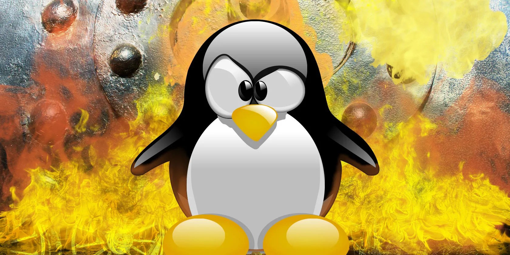 The Newest Linux Operating Systems for Every Niche