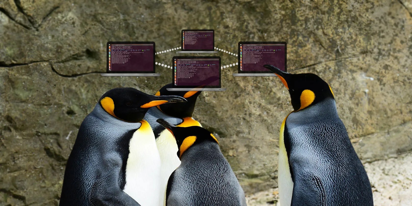 5 Networking Commands for the Linux Terminal