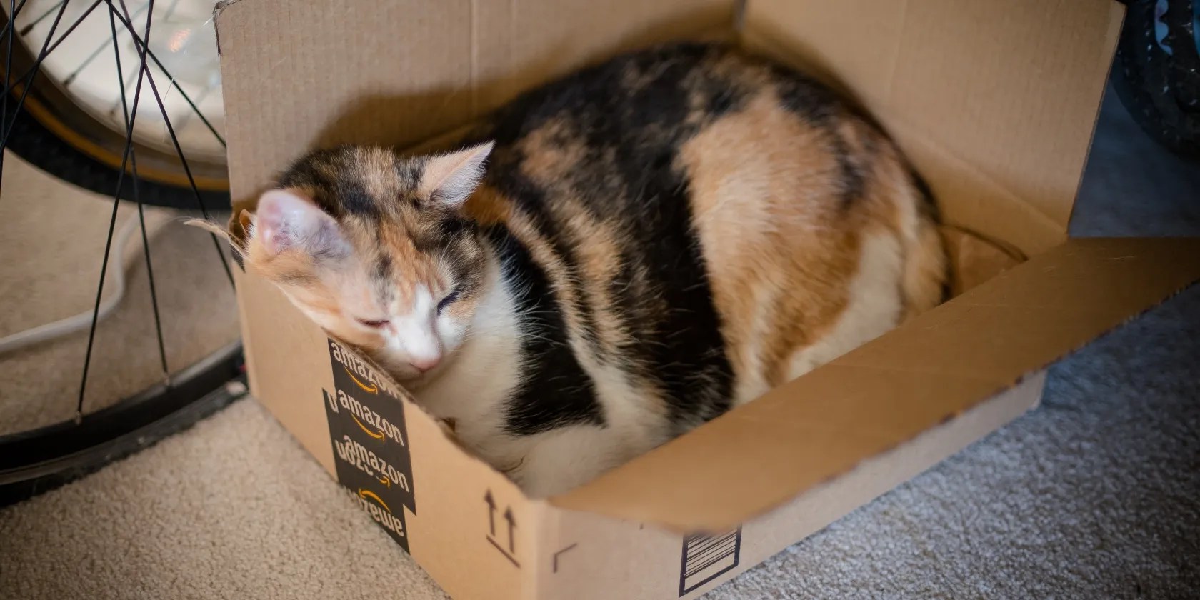 How to Buy Online Safely, Securely, and Confidently