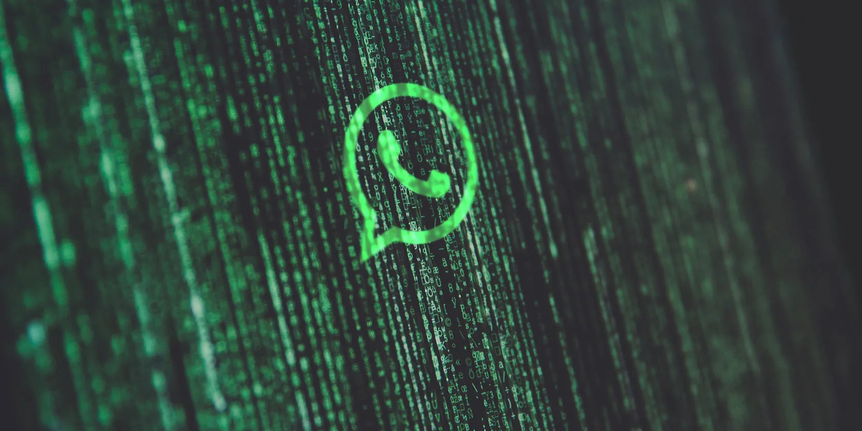 Can You Get Hacked By Replying To A Text On Whatsapp stigman