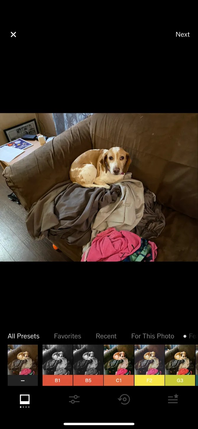 The 9 Best Free Photo Editing Apps on iPhone