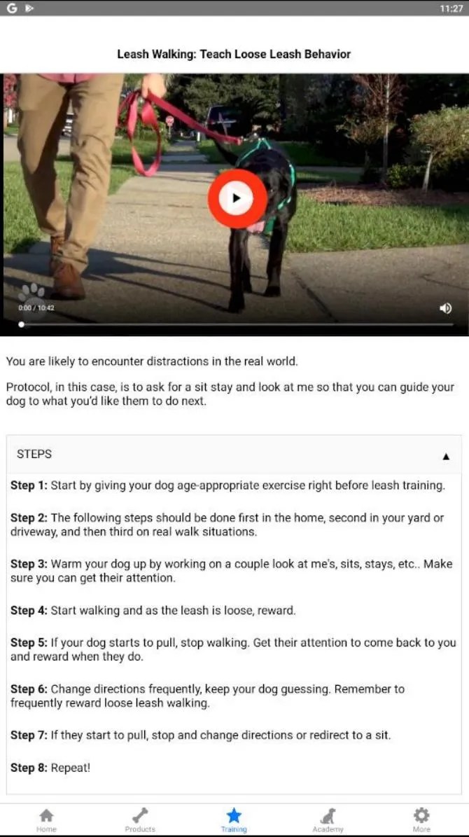 The 5 Best Dog Training Apps for Android and iPhone