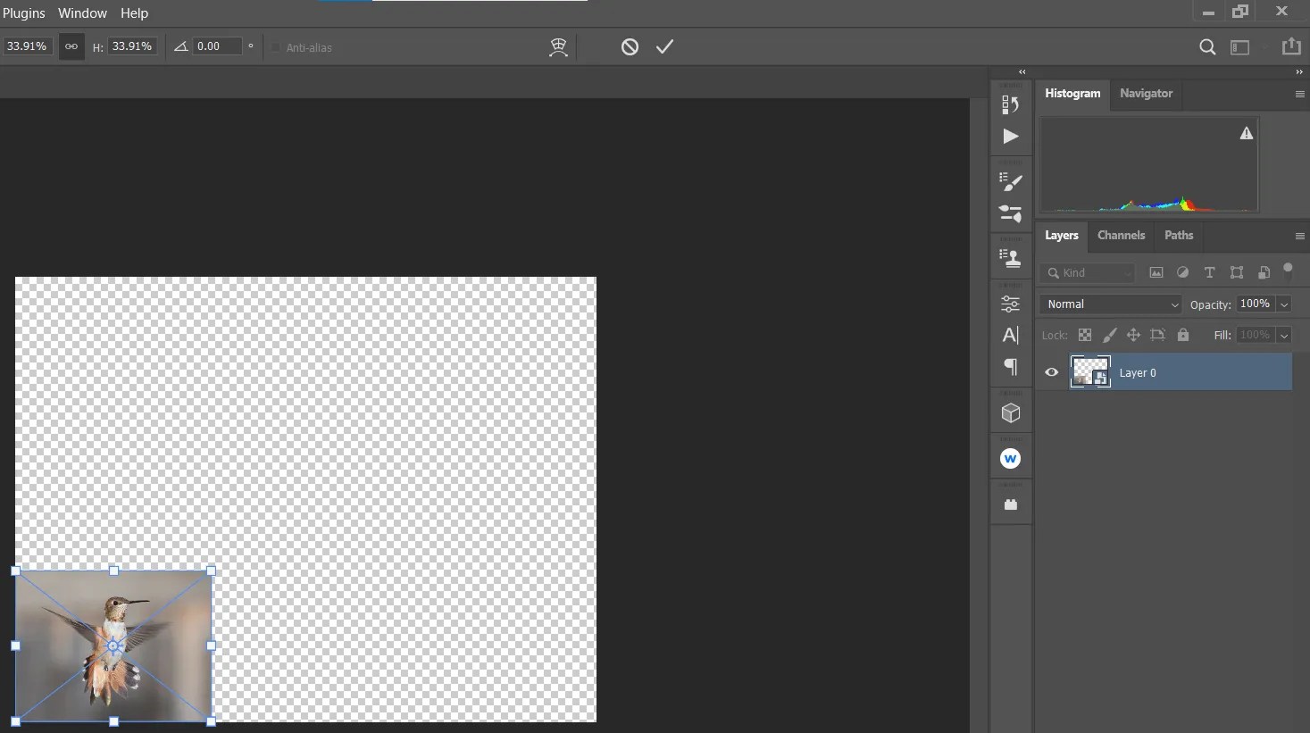 How to Resize a Layer in in 4 Easy Steps