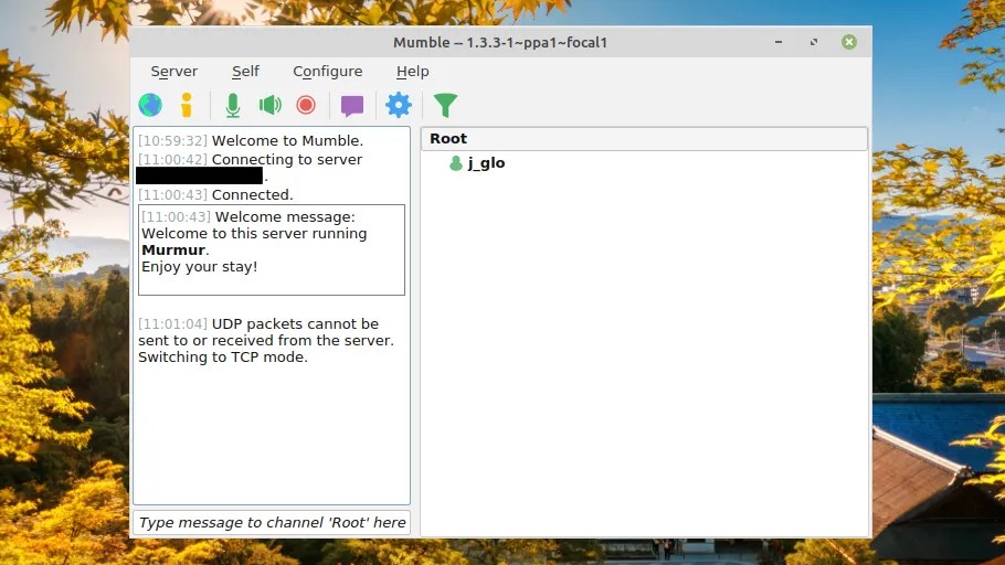 How to Install and Set Up Your Own Mumble Server