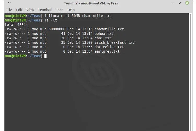 How to Create a New File in Linux