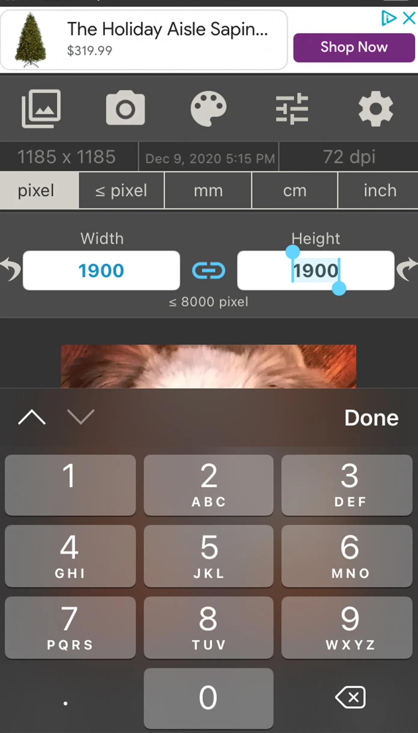 How to Reduce the Size of a JPEG 6 Different Ways