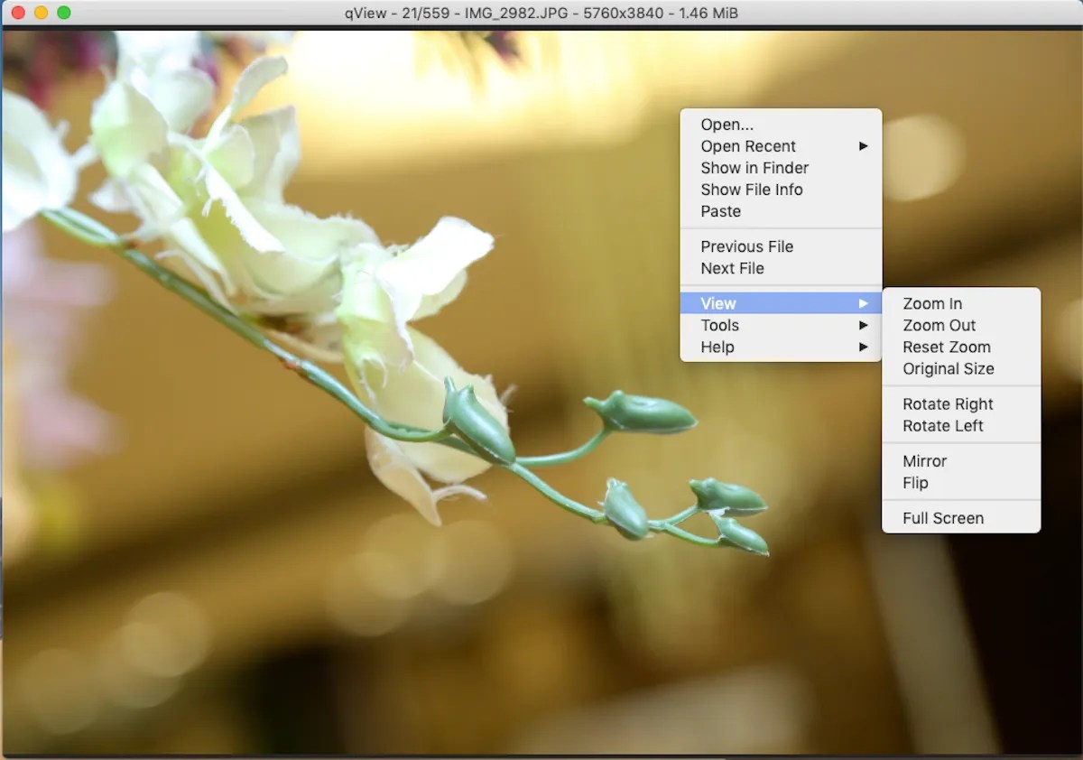 The 5 Best Mac Image Viewer Apps With Unique Features