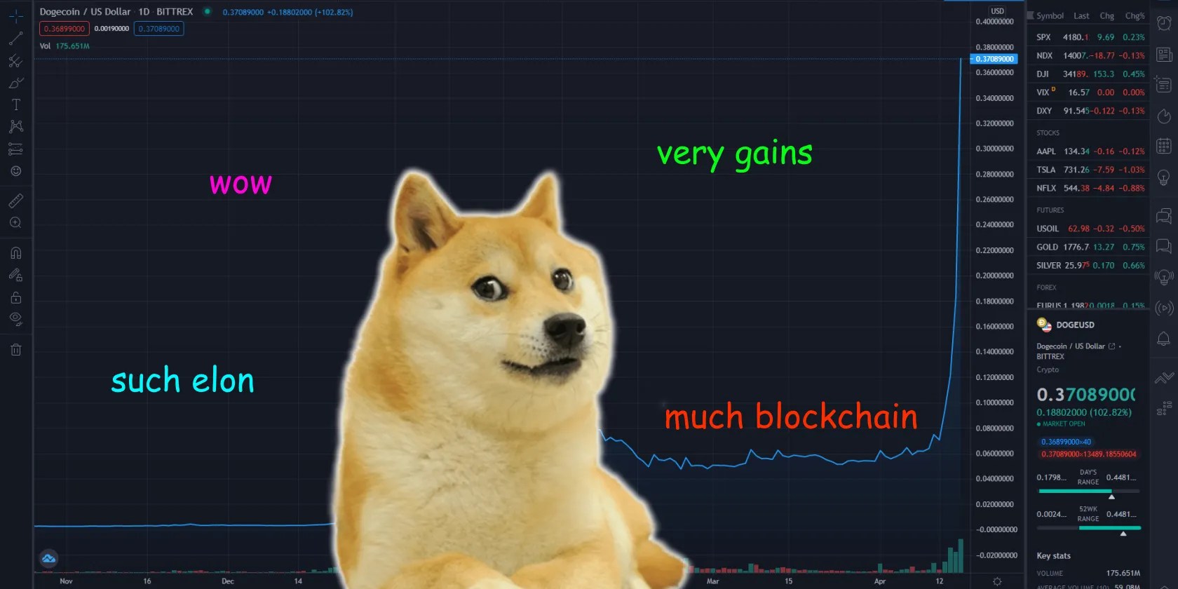 Dogecoin Hits an AllTime High as People Go Crypto Crazy