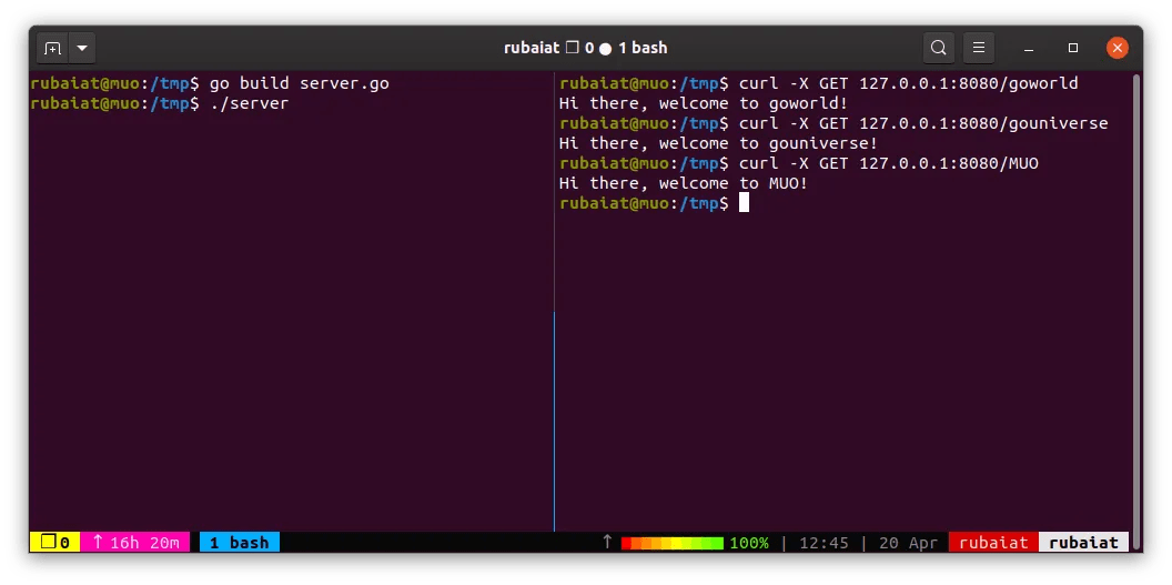 How to Build a Basic  Server in Go