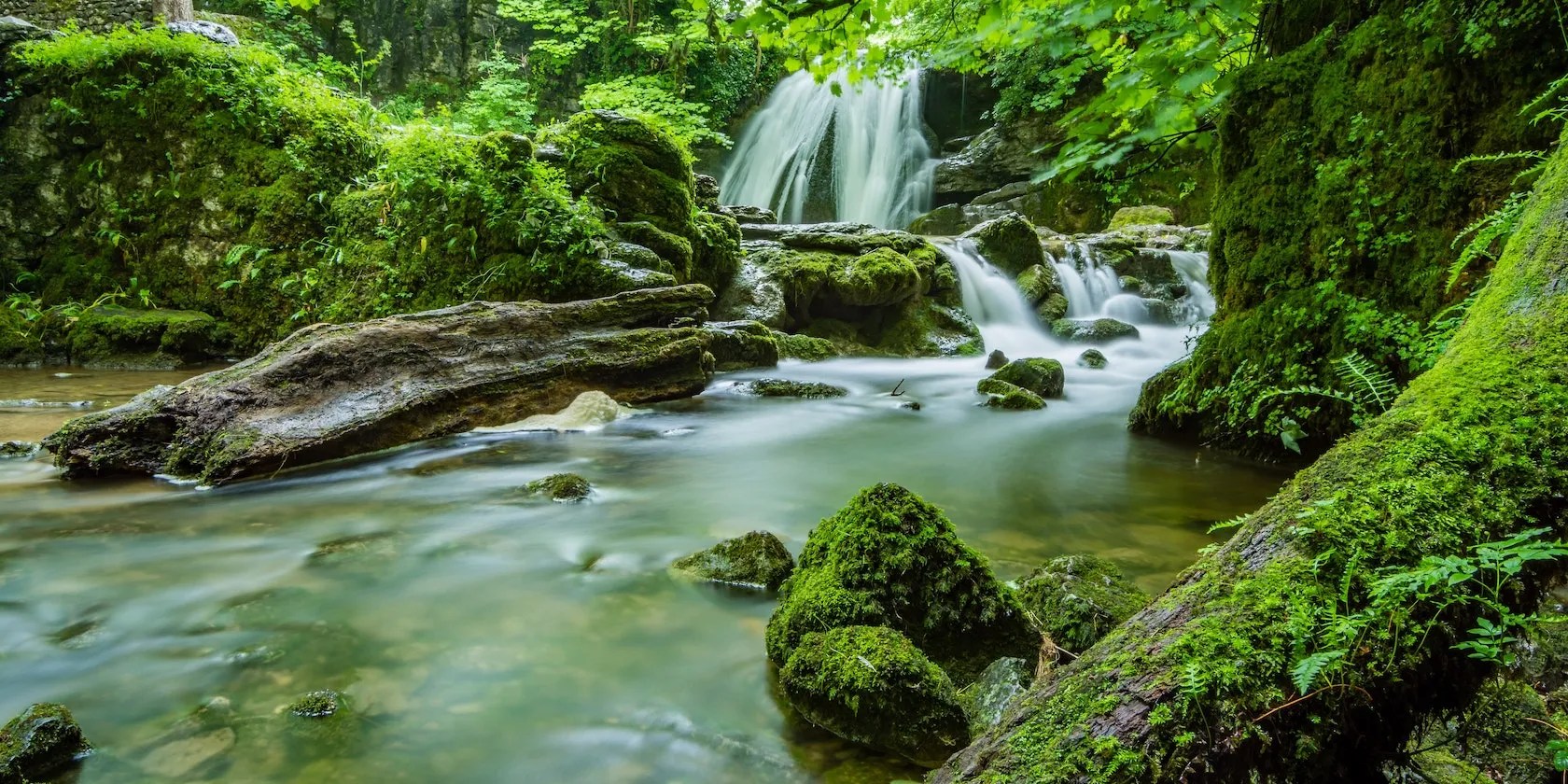 5 Peaceful Nature Sounds Apps for Android to Help You Relax