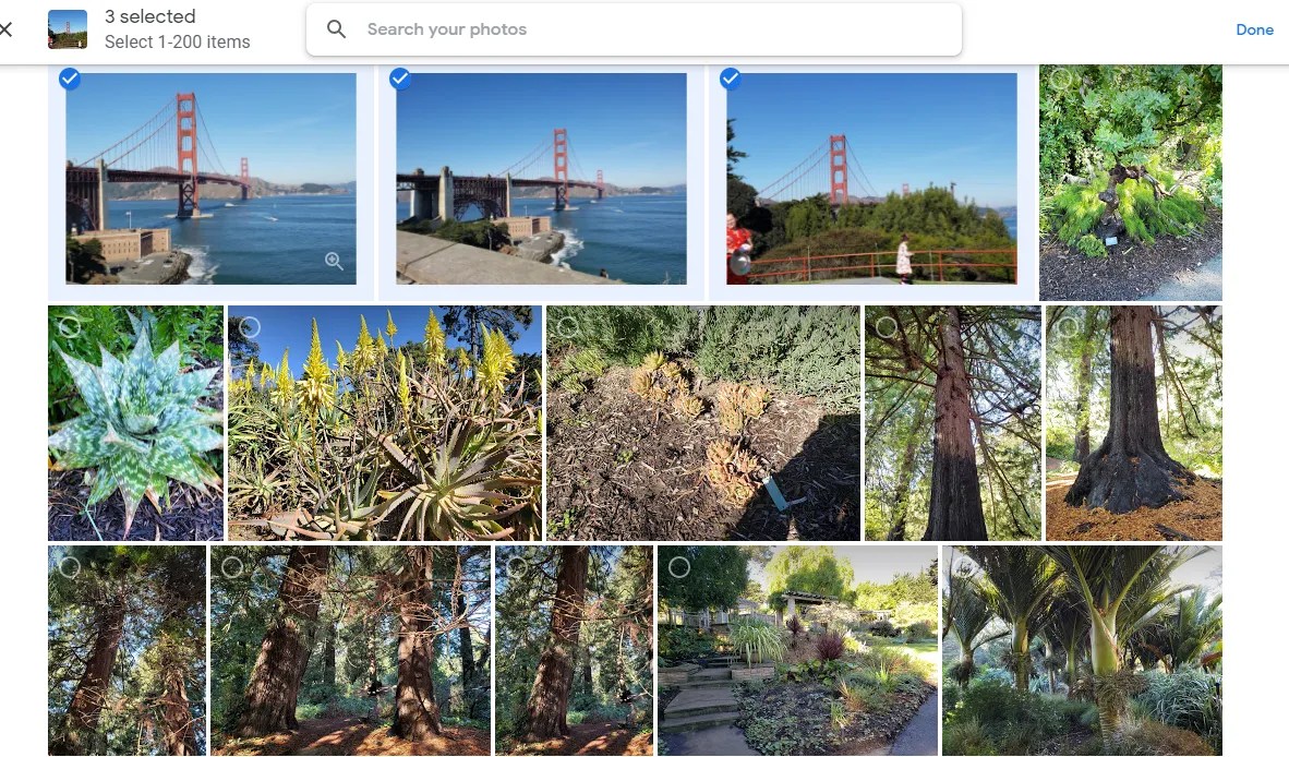 How to Convert Google Photos Into Memories With Photo Prints