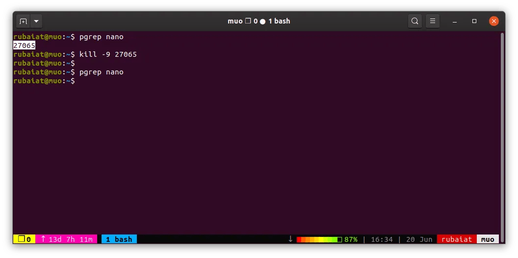 How to Terminate Unresponsive Processes in Linux With kill and pkill