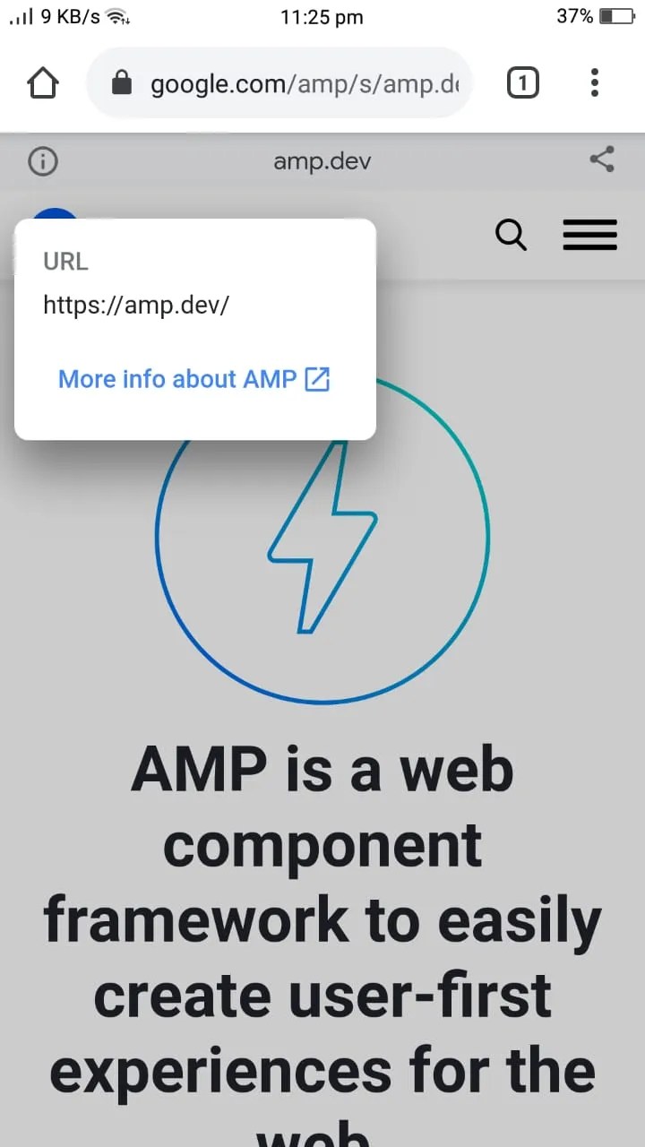 How to Disable Google AMP in Google Search on Android and iPhone