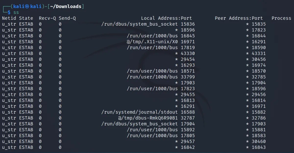 How to Monitor Network Connections on Linux With ss