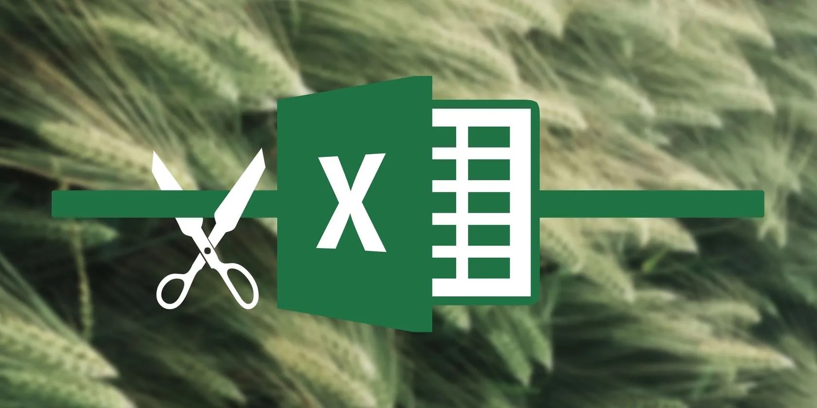 How to Use the TRIM Function in Excel