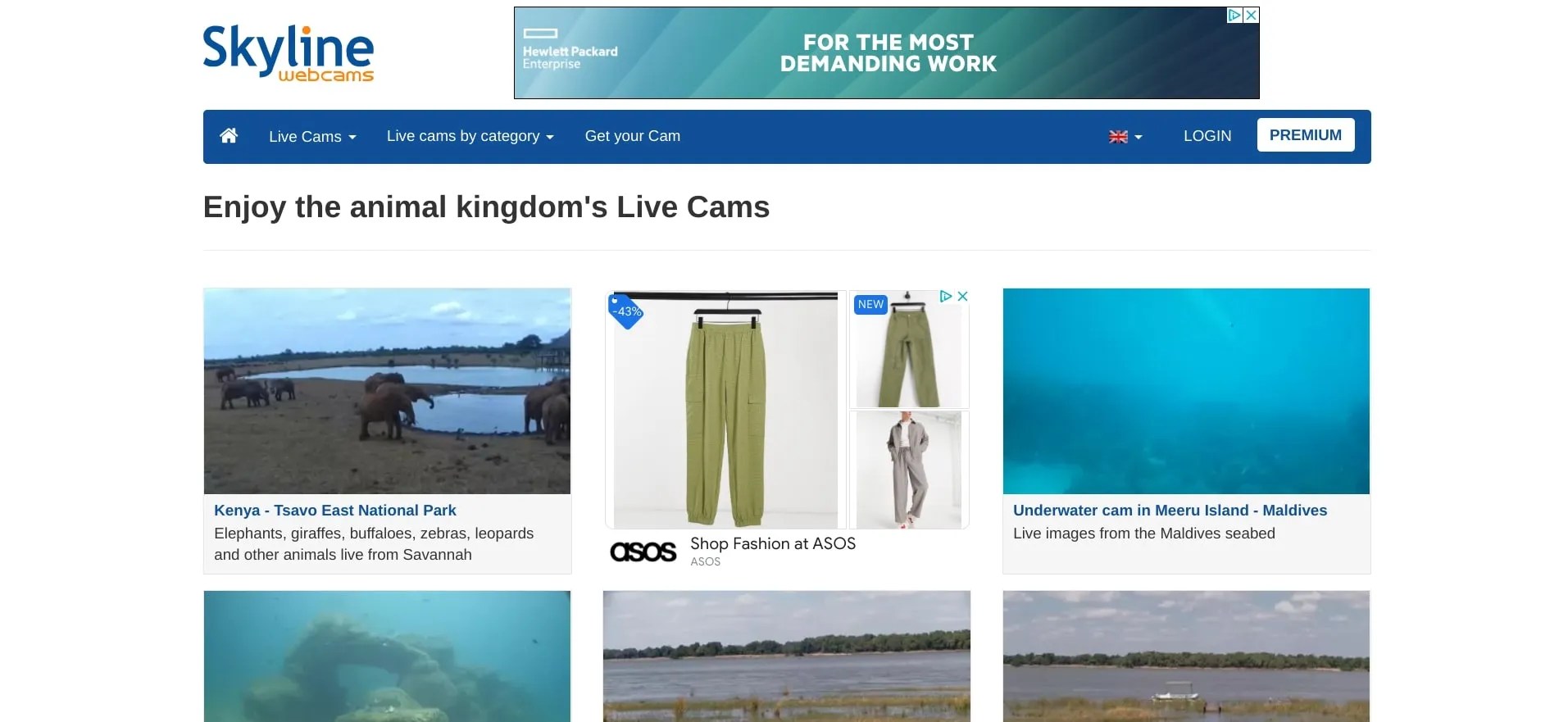 6 Sites for Watching Nature Live Streams Online