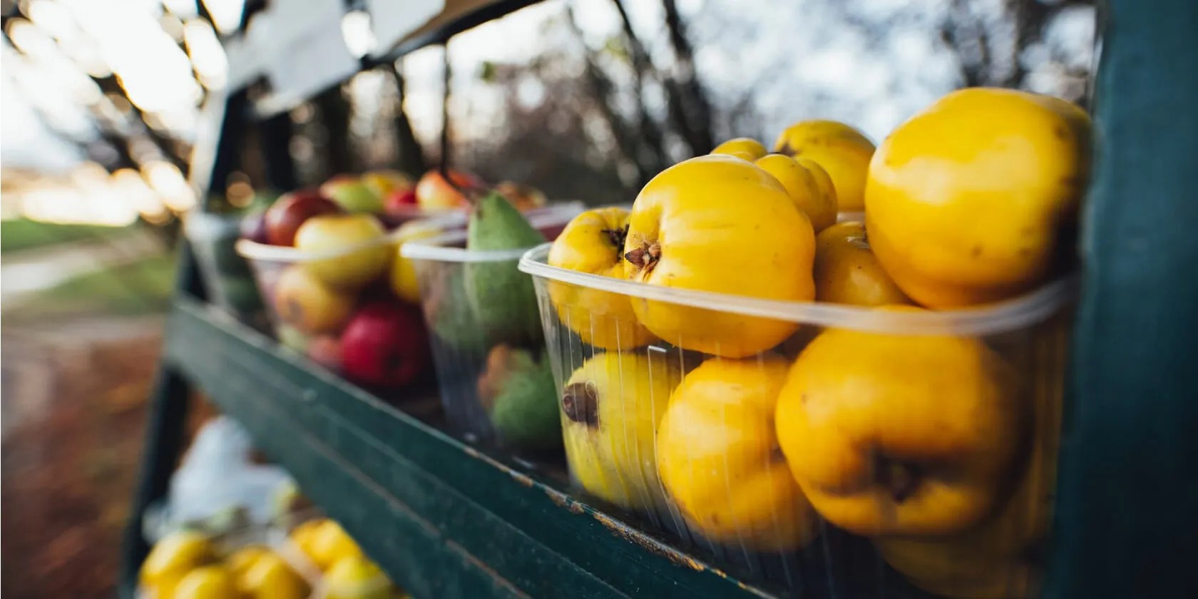 How to Sort Text Files in Linux Using the sort Command