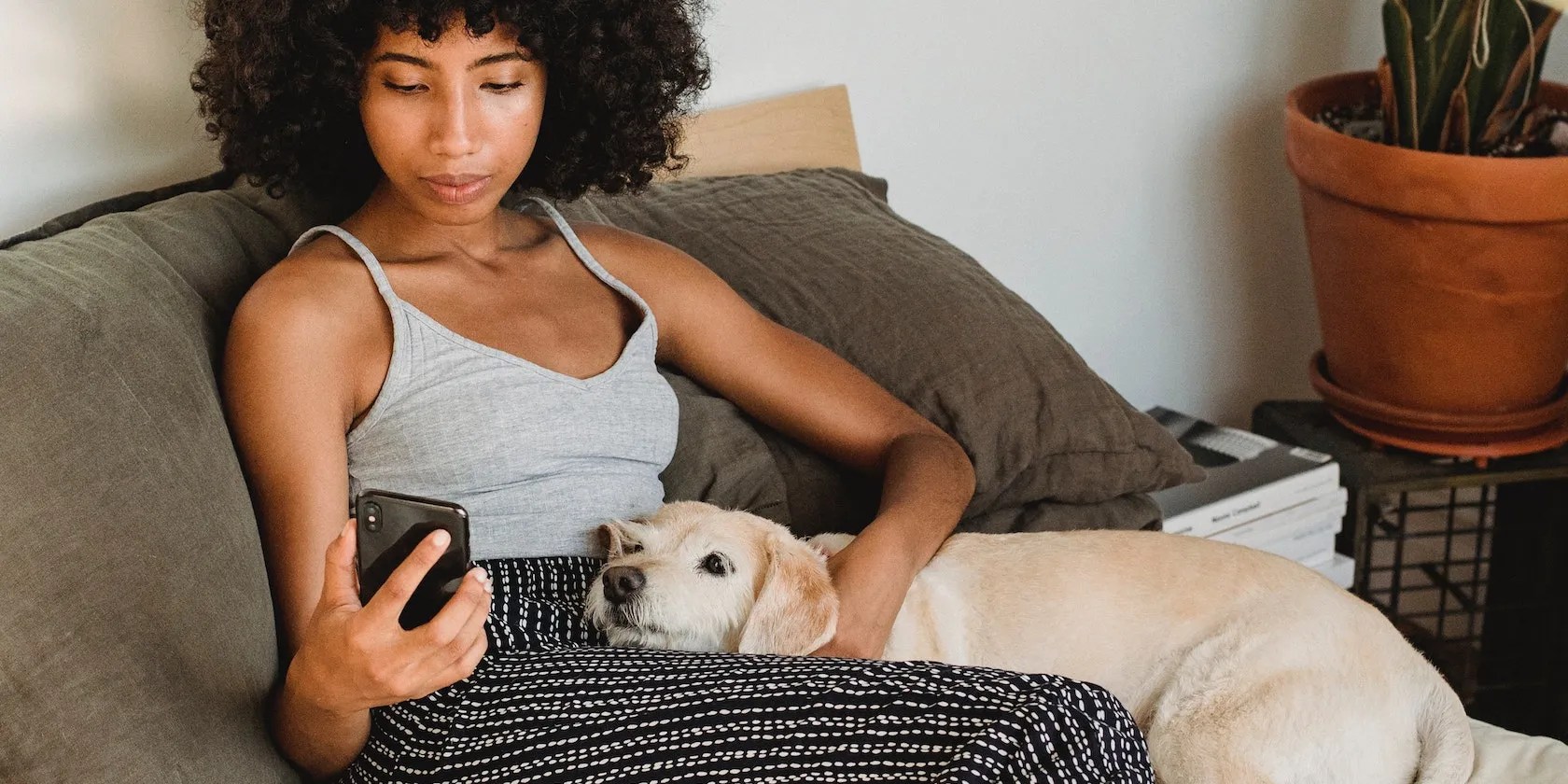 Do Dog Whistle Apps Actually Work