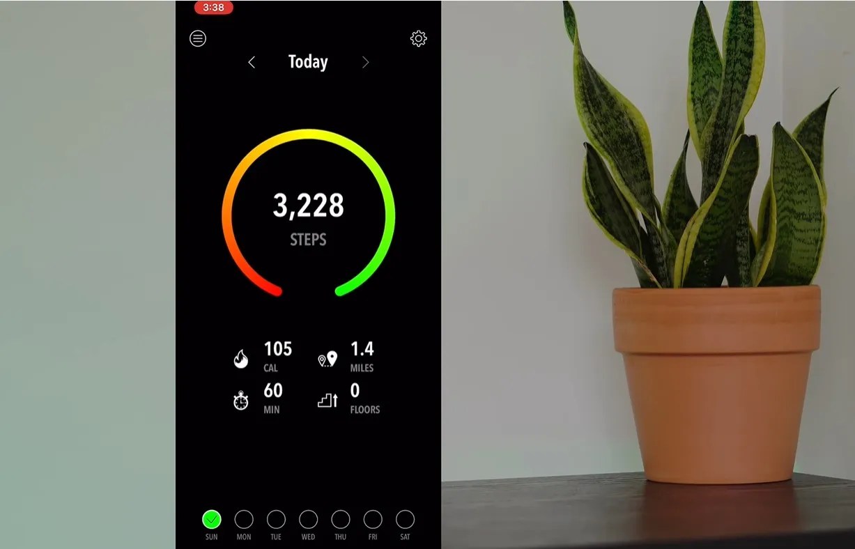 The 8 Best Pedometer Apps for iPhone
