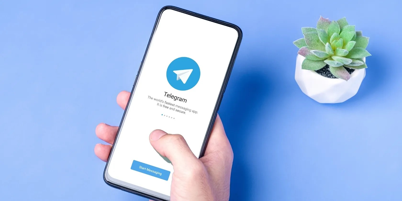 Telegram Channels vs. Telegram Groups What's the Difference?