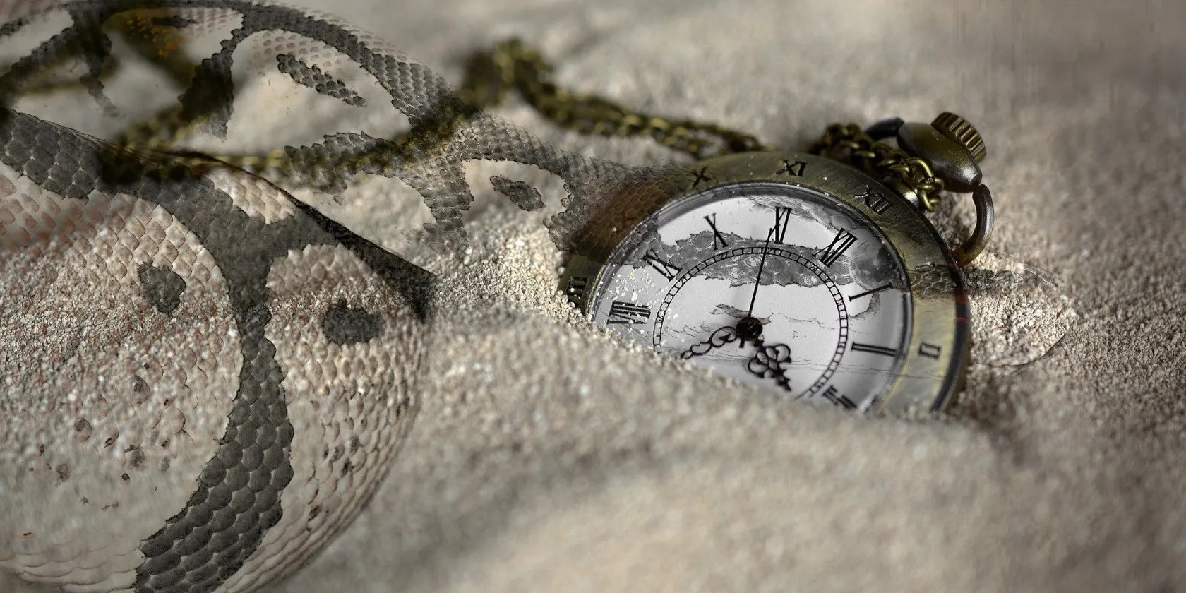 How to Use Python’s time Module