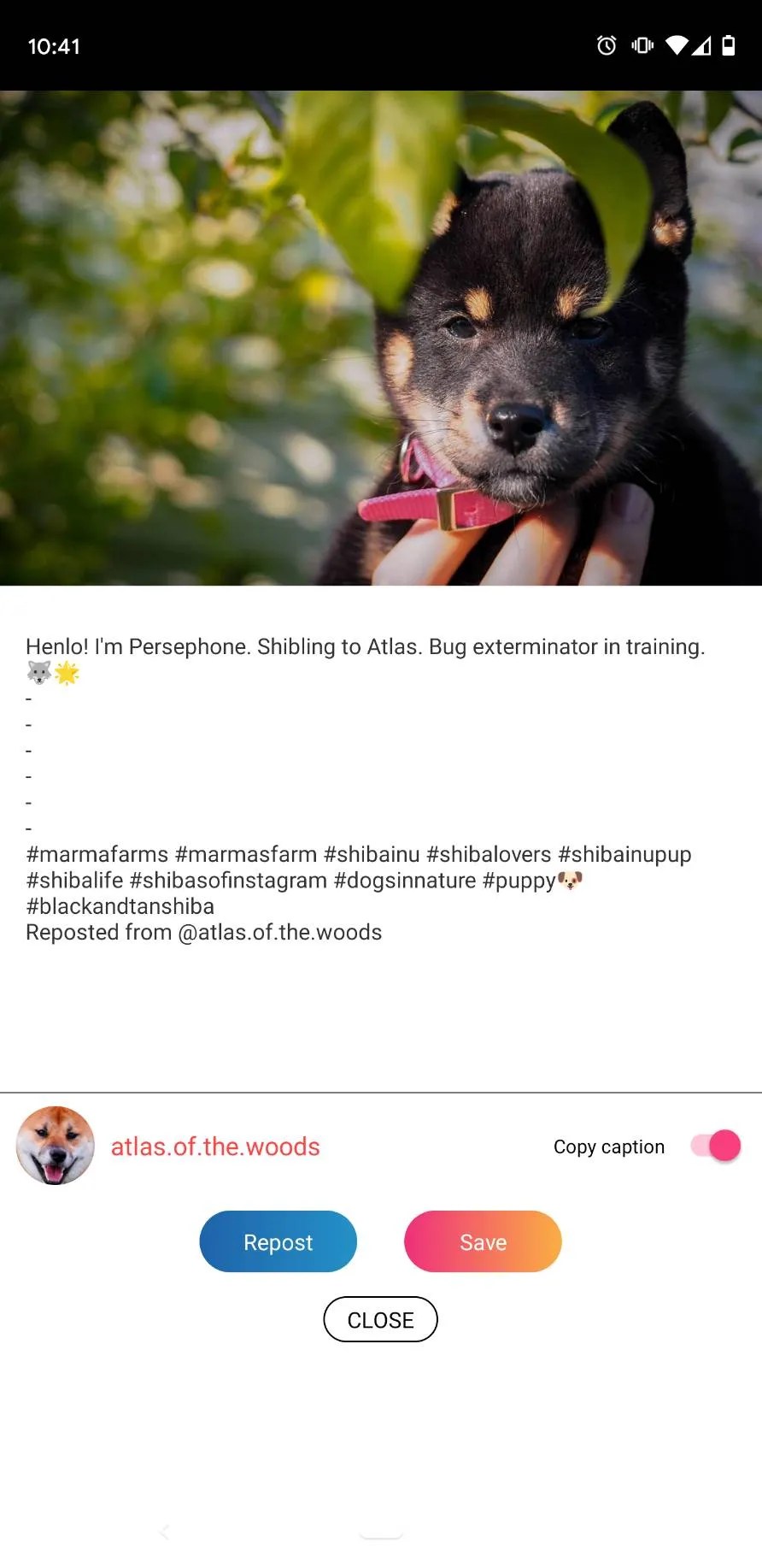 The 5 Best Instagram Repost Apps for Android and iPhone