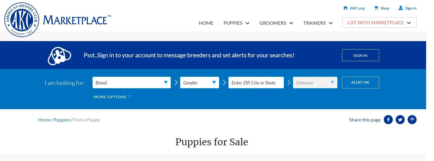Where to Find Dogs & Puppies for Sale Near You 10 Ethical Sites