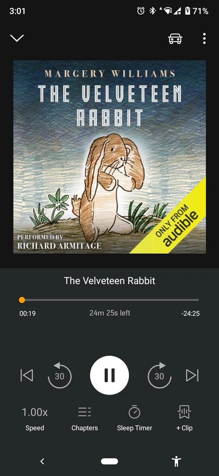 How to Play Audible Books on Google Home