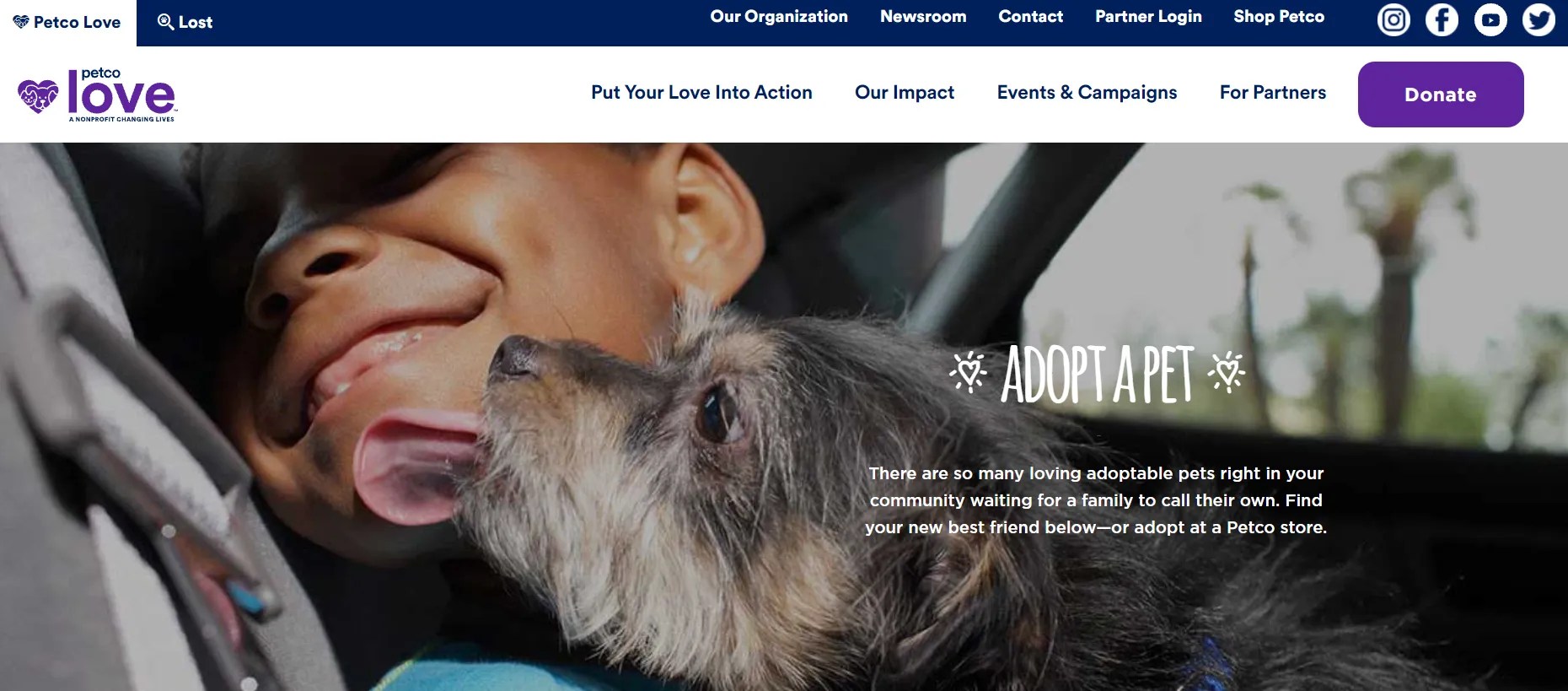 Where to Find Dogs & Puppies for Sale Near You 10 Ethical Sites