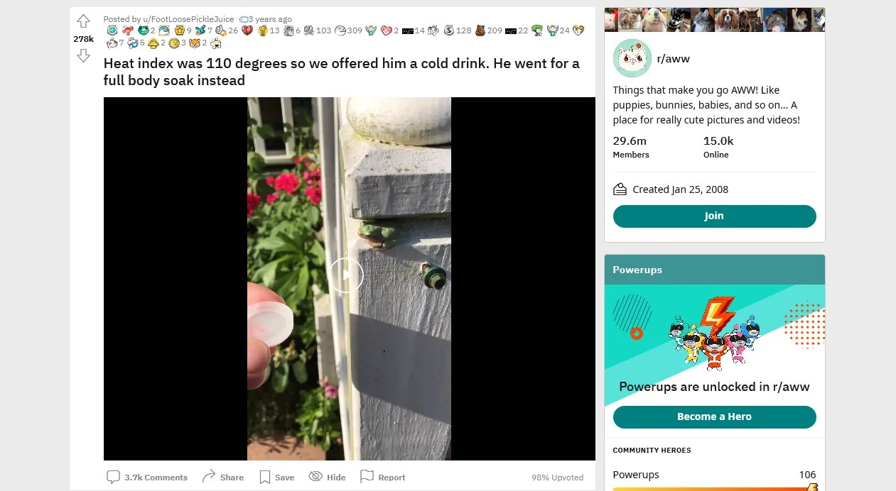 The Top 10 HighestRated Reddit Posts of All Time