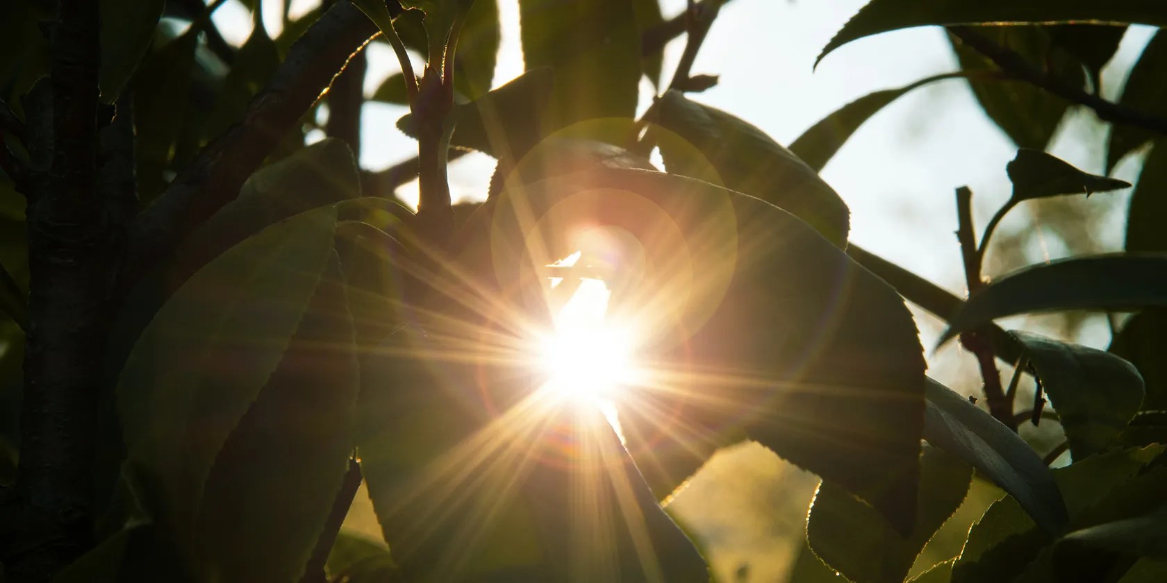 What Is Lens Flare in Photography? How and Why It Happens