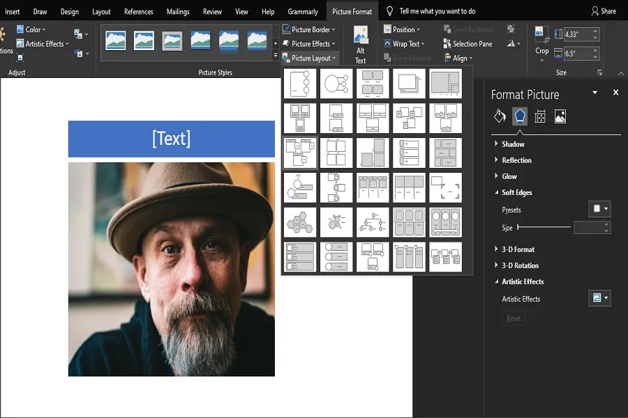 How to Edit an Image in Microsoft Word 8 Useful Tools