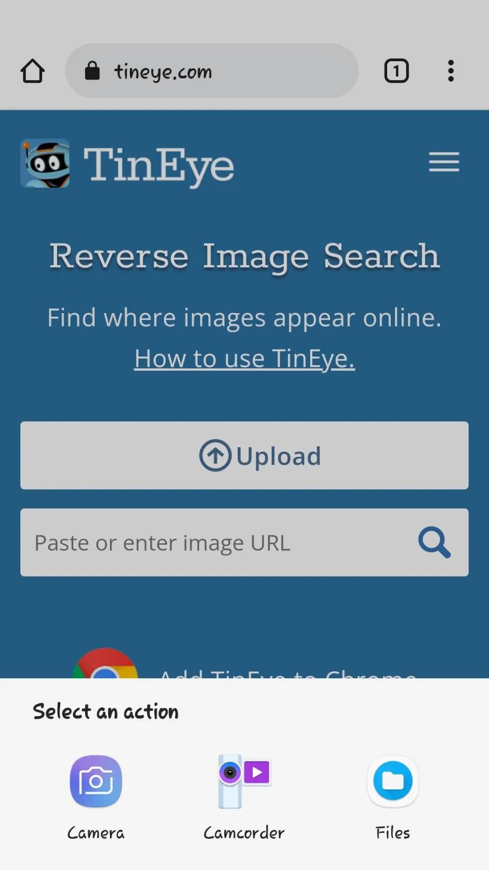 The 10 Best Reverse Image Search Apps for iPhone and Android