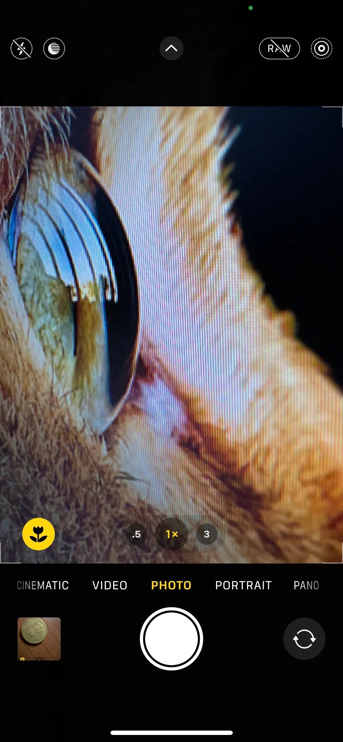 How to Take Macro Photos on the iPhone 13 Pro and iPhone 14 Pro Series