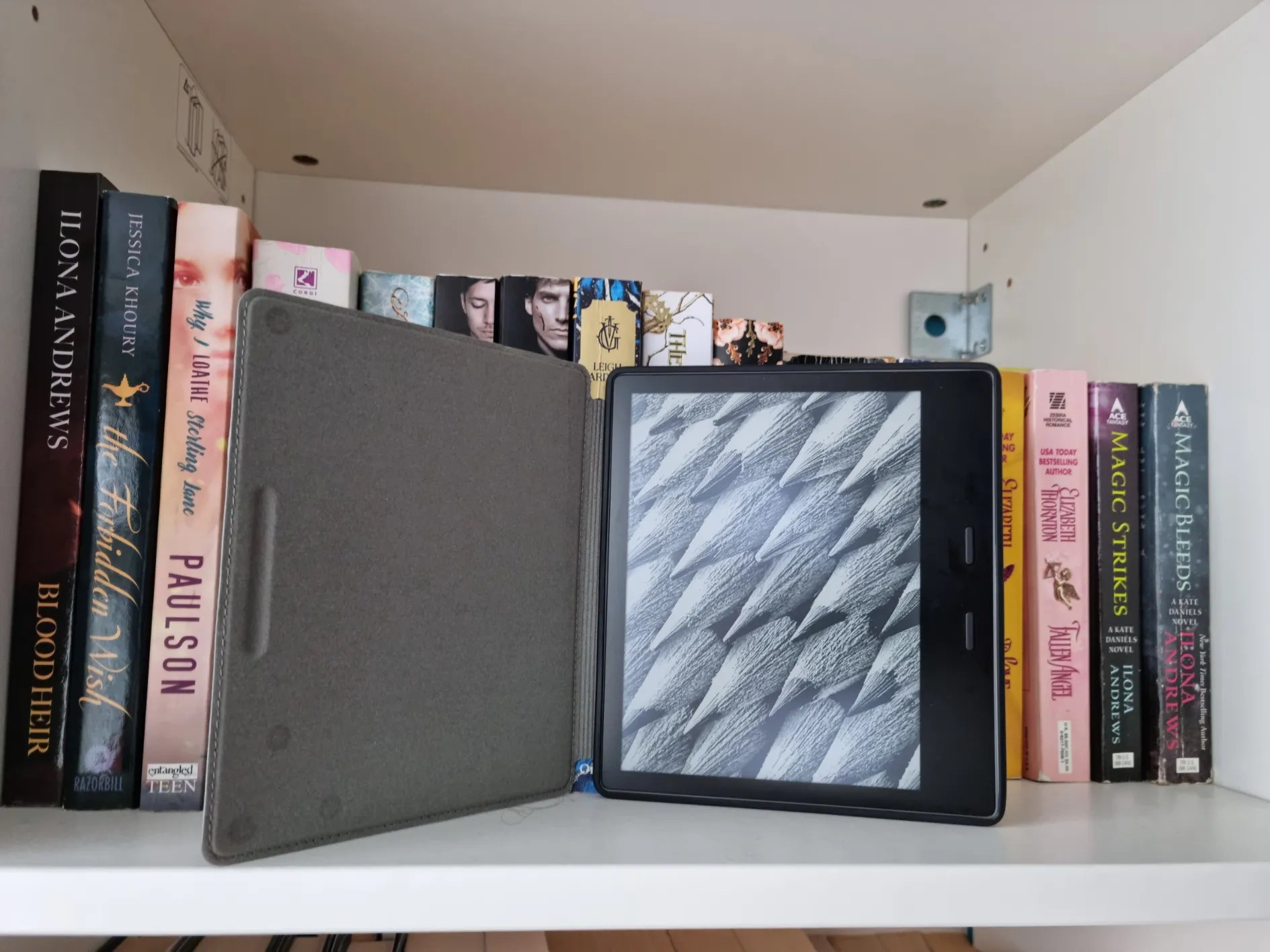 Which Kindle Device Should You Buy? A Comparison Guide