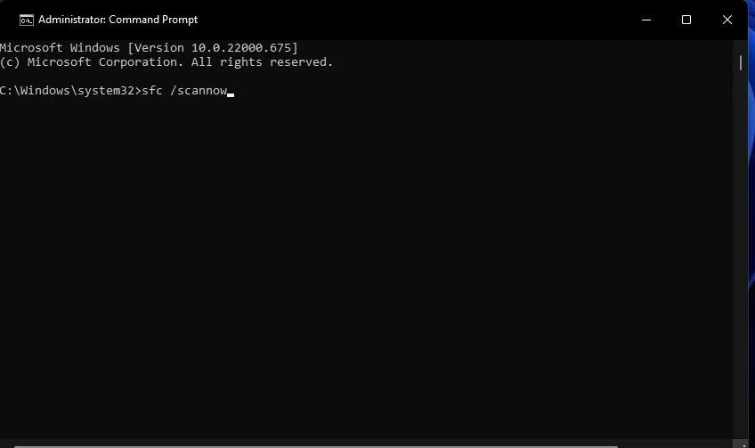 Fix Update Error Code 0x80248007 in Windows 11 TFB The.