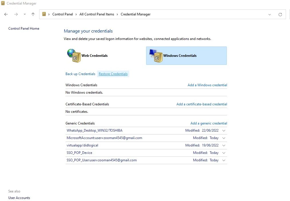What Is the Credential Manager? How to Save Your Login Credentials in