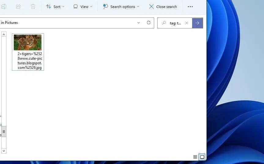 How to Add Search Tags to Files in Windows 11