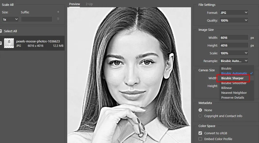 Preparing Photos for Laser Engraving in A Complete Guide