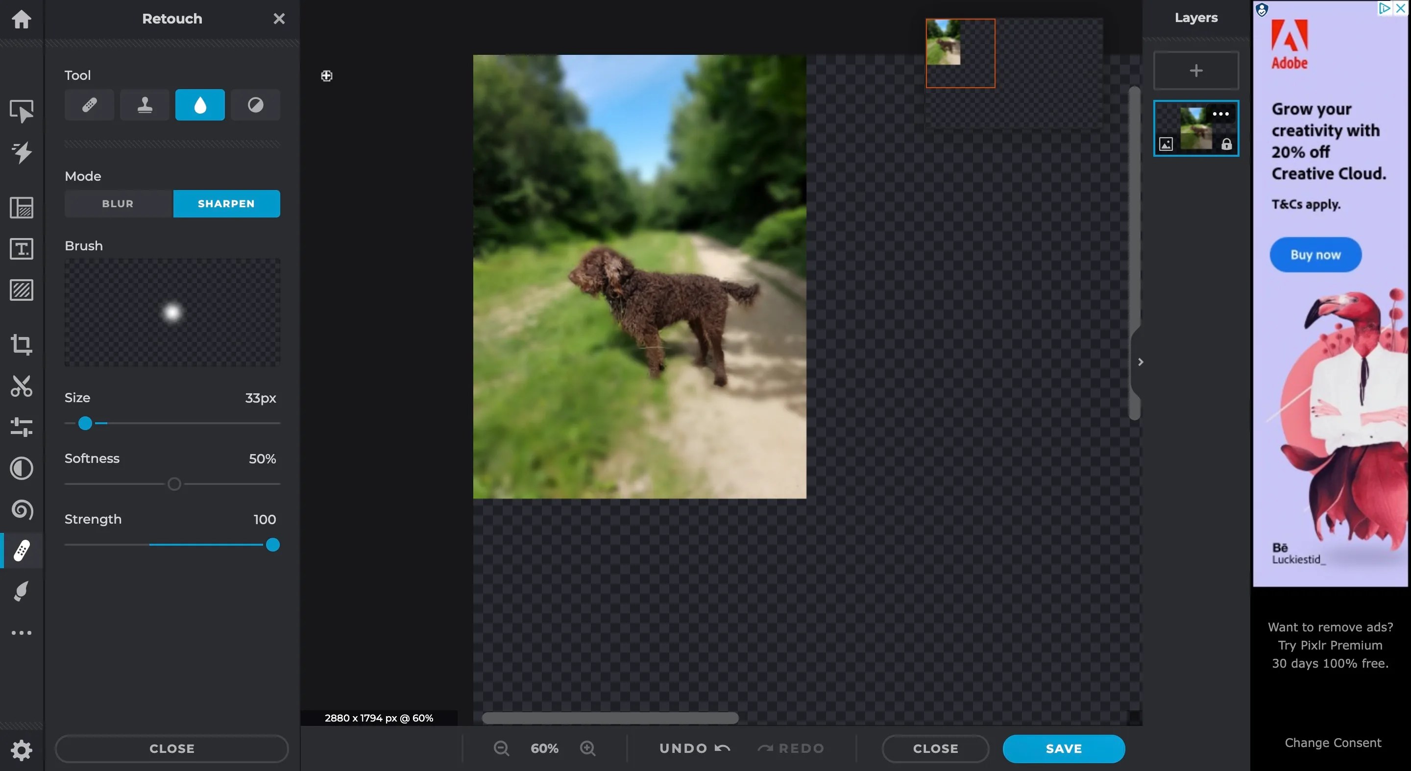 How to Blur Parts of an Image for Free Online 5 Tools