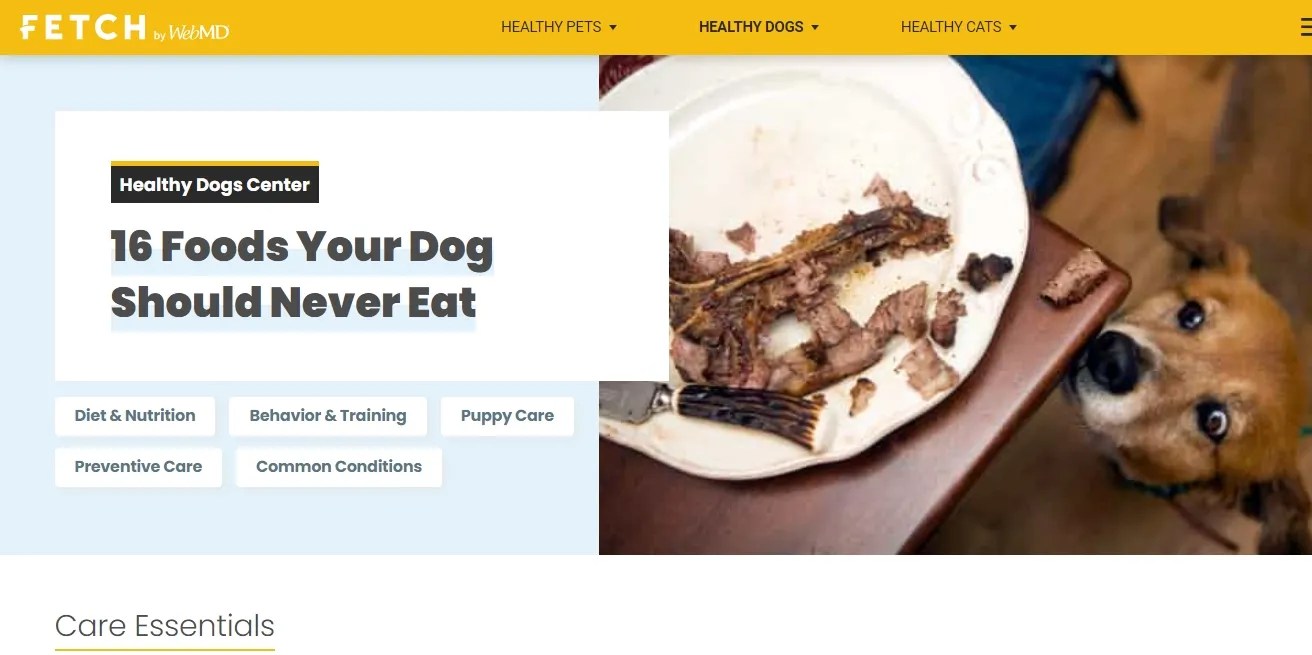 The 10 Best sites for Dog Lovers With Pet Care Questions