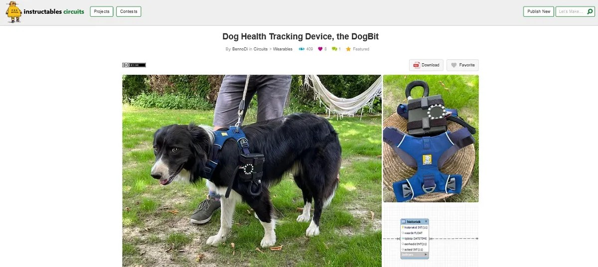 10 Incredible Wearables to Make for Your Dog