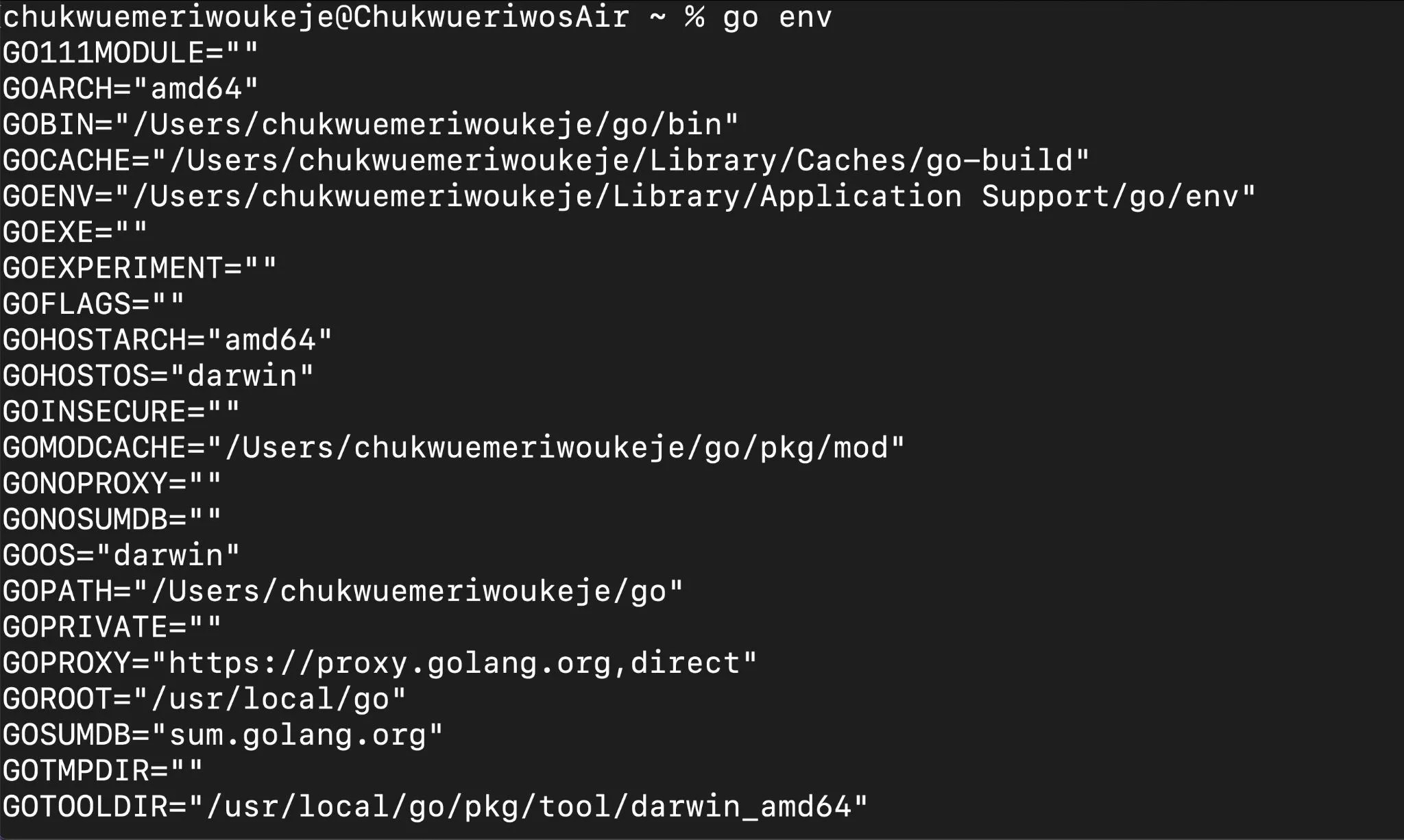 An Overview of Important Go Commands and Flags