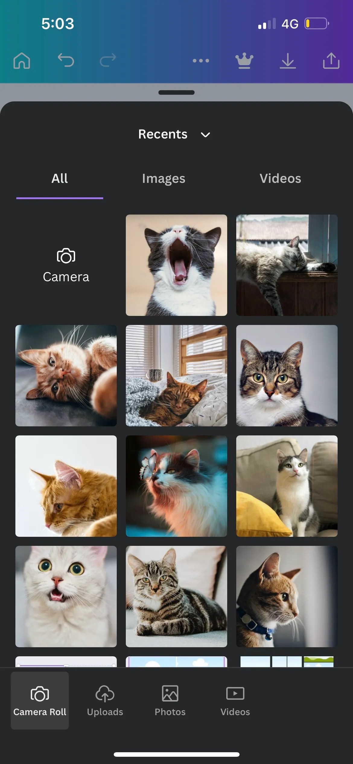 How to Make a Photo Collage on iPhone