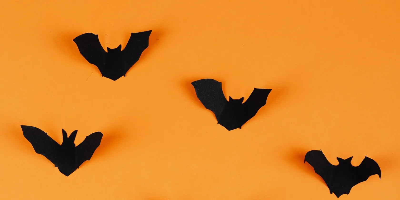 bat A Modern Alternative to the Classic Linux cat Command