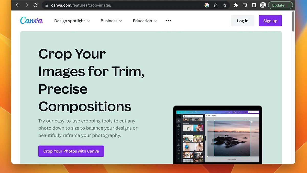 7 Ways to Crop a Picture Online
