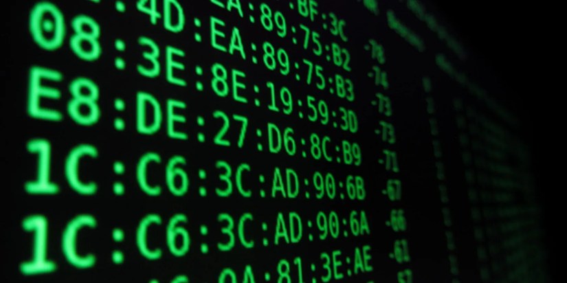 Find the MAC Address on Your Linux System