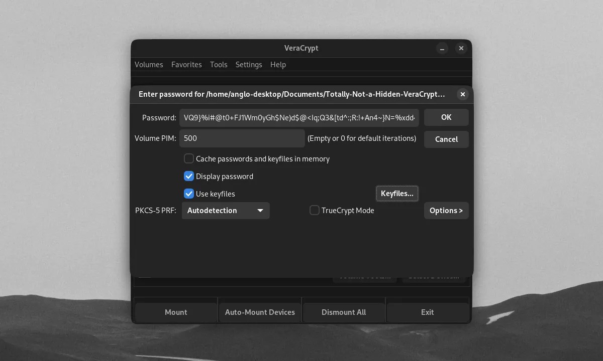 How to Use VeraCrypt’s Advanced Features to Secure Important Files