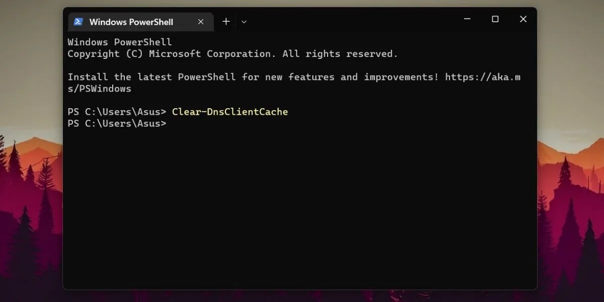 4 Ways to Flush the DNS Cache on Windows 11